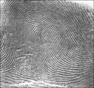 20250603163310AC4s